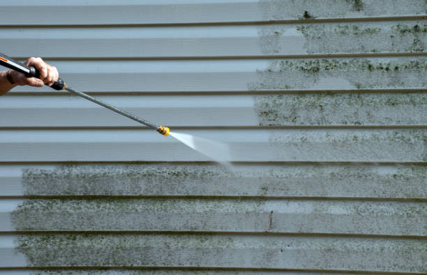 Best Residential Mold Removal  in New Franklin, MO
