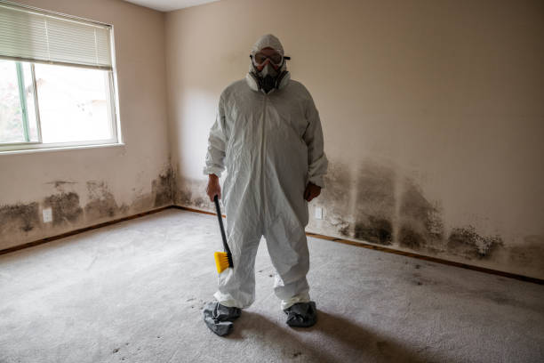 Best Professional Mold Removal  in New Franklin, MO